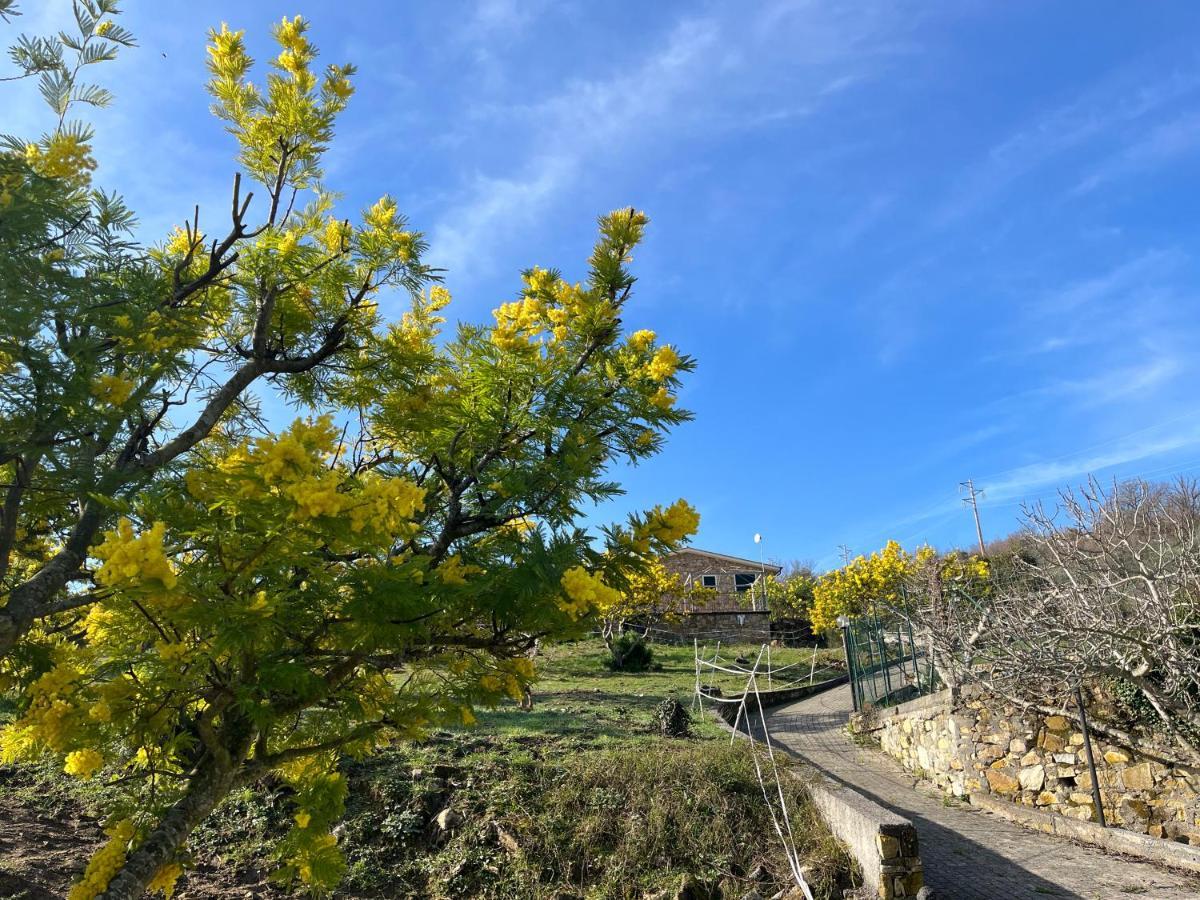 Agriturismo Le Mimose Imperia Exteriör bild
