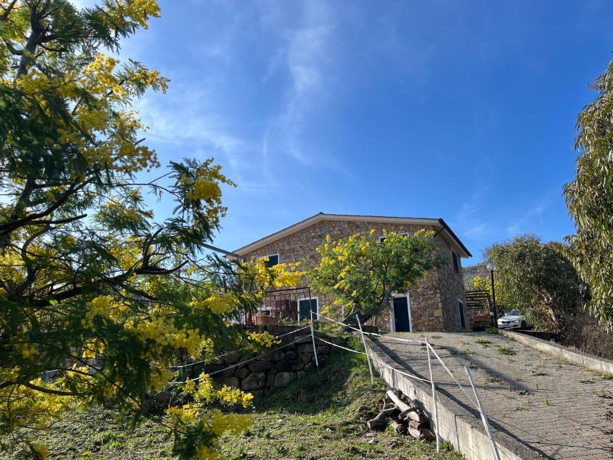 Agriturismo Le Mimose Imperia Exteriör bild