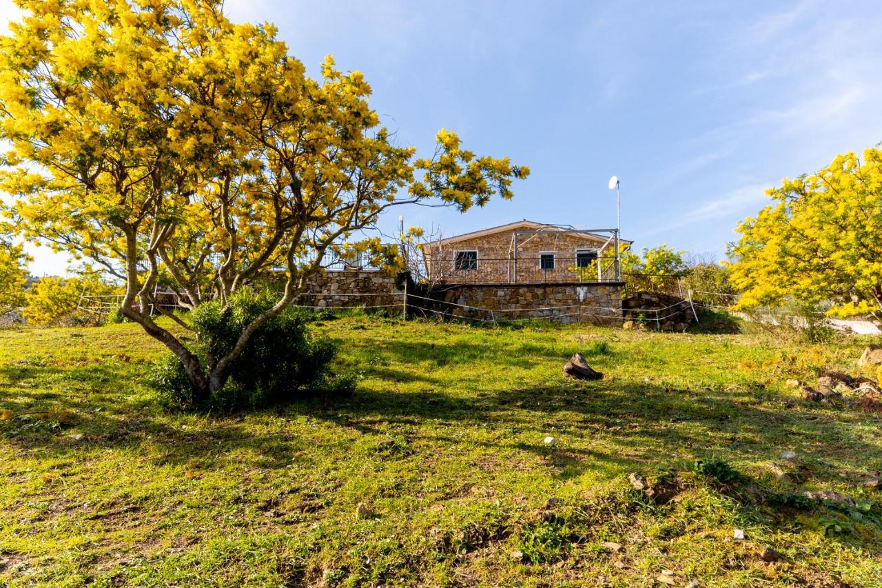 Agriturismo Le Mimose Imperia Exteriör bild